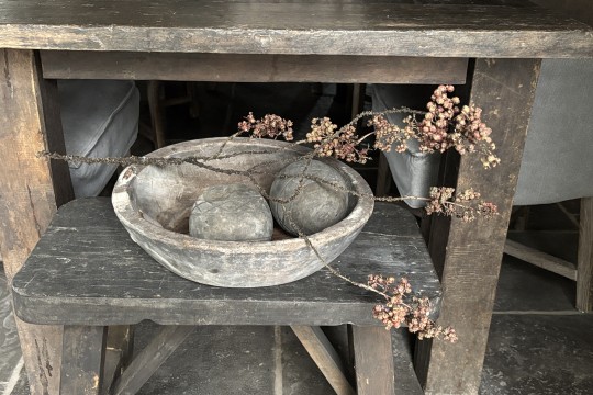 Ligustrum bessentak – donker rood/bruin